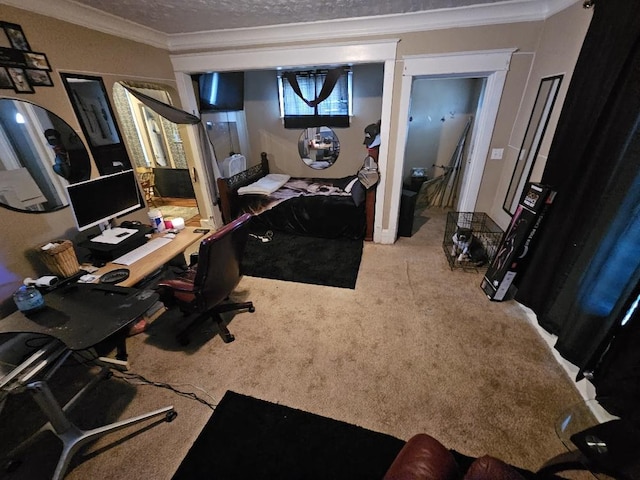 carpeted office space featuring a textured ceiling and crown molding