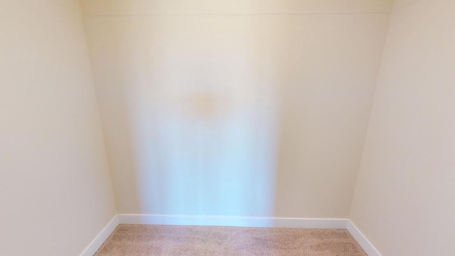 unfurnished room with carpet flooring