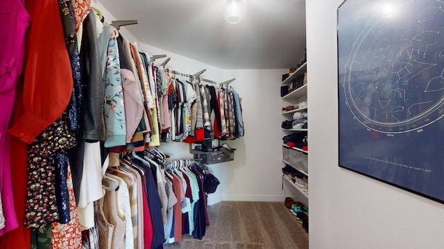 spacious closet with carpet