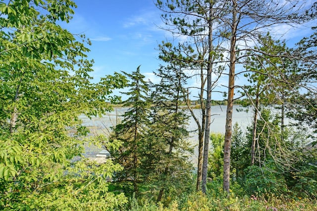 view of water feature