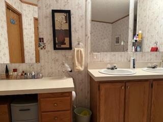 bathroom featuring decorative backsplash and vanity