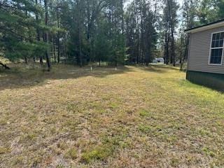 W4706 29th St, Necedah, WI 54646 - view of green lawn
