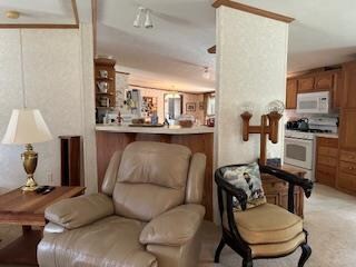 living room featuring light carpet