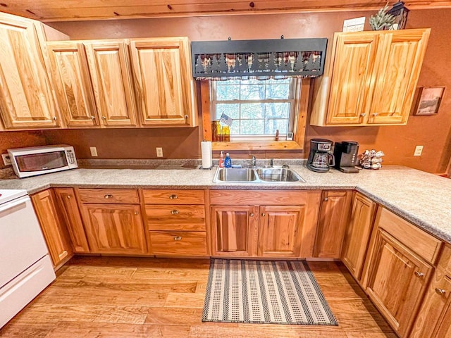 kitchen with light wood-type flooring, sink, and white appliances