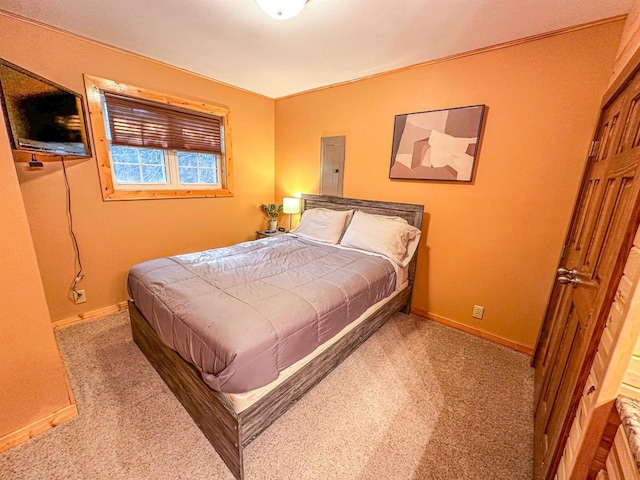 bedroom with electric panel and carpet flooring