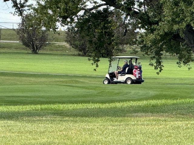 view of community with a lawn