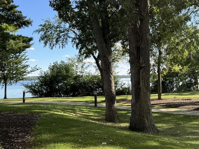 view of community featuring a lawn and a water view