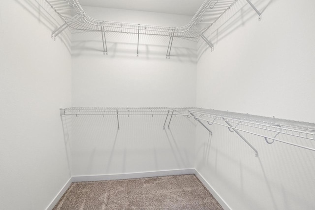 spacious closet with light carpet