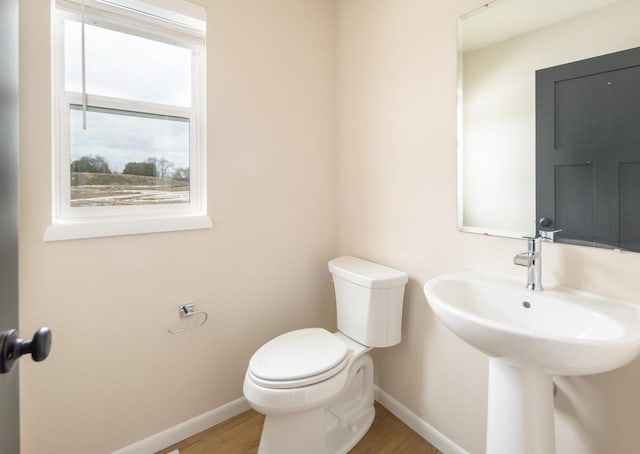 bathroom featuring toilet and hardwood / wood-style floors