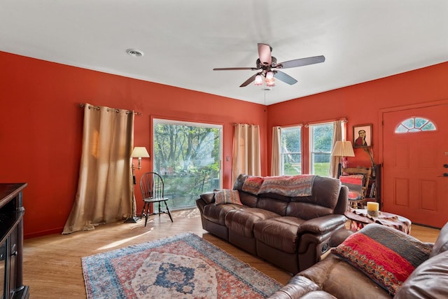 living room with ceiling fan and light wood-type flooring