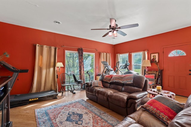 living room with ceiling fan and light wood-type flooring