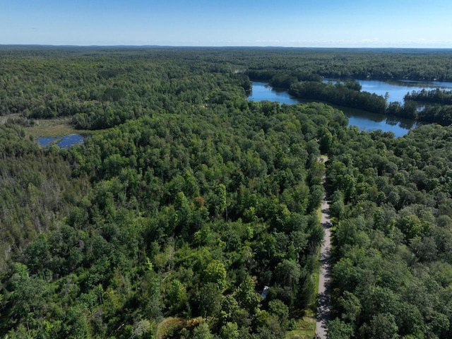 LT0 E Hollister Rd, White Lake WI, 54491 land for sale