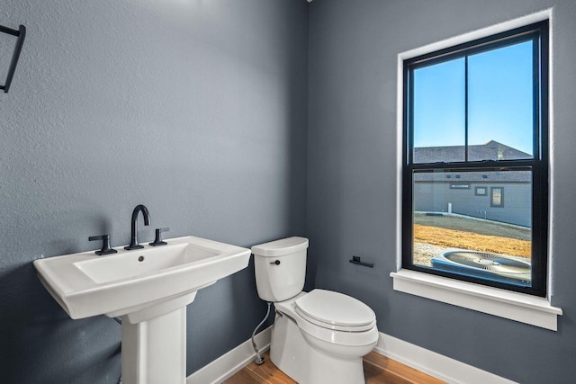 bathroom with sink, toilet, and hardwood / wood-style floors