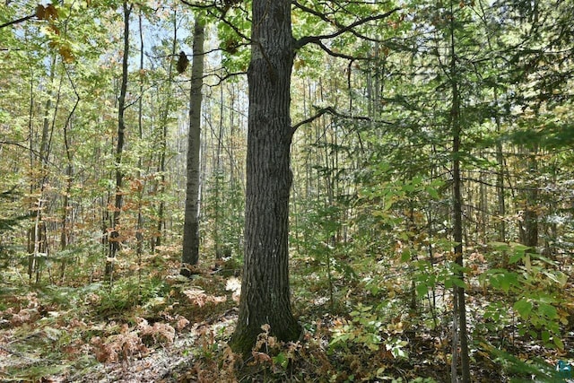LOT1 County Highway C, Cornucopia, WI 54827