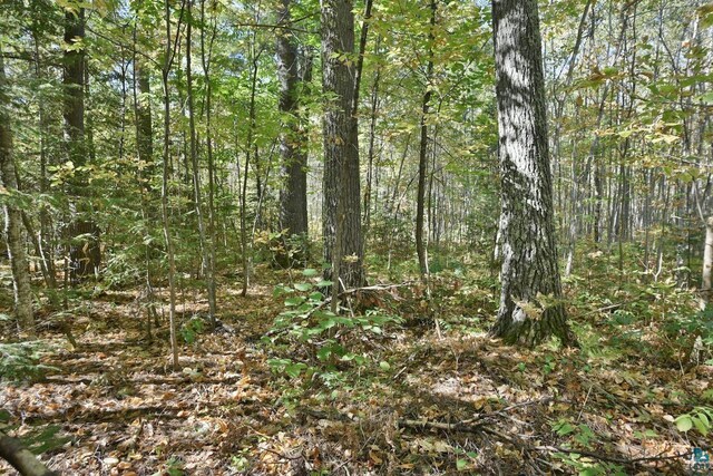 LOT1 County Highway C, Cornucopia, WI 54827