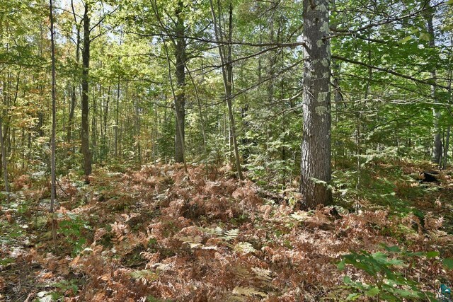 LOT1 County Highway C, Cornucopia, WI 54827