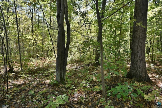 Listing photo 2 for LOT1 County Highway C, Cornucopia WI 54827