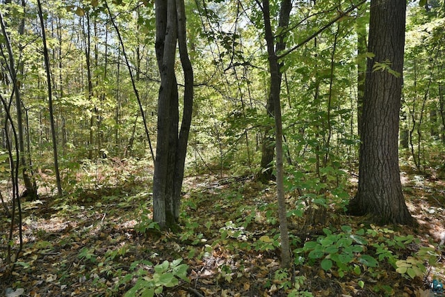 LOT1 County Highway C, Cornucopia, WI 54827