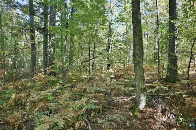 Listing photo 3 for LOT1 County Highway C, Cornucopia WI 54827