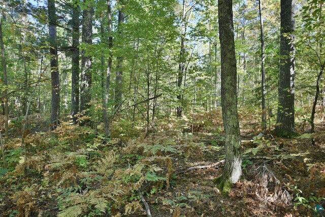 LOT1 County Highway C, Cornucopia, WI 54827