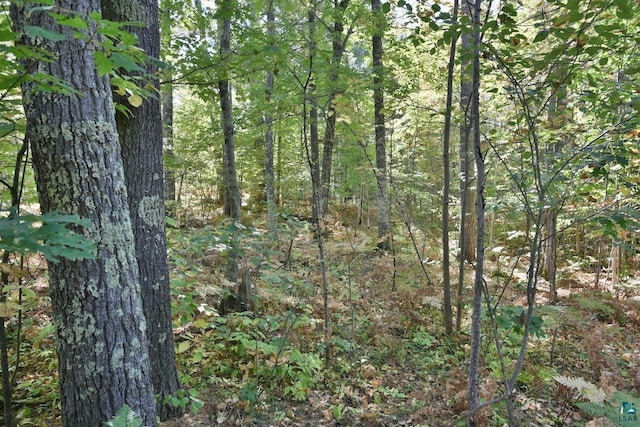 LOT1 County Highway C, Cornucopia, WI 54827