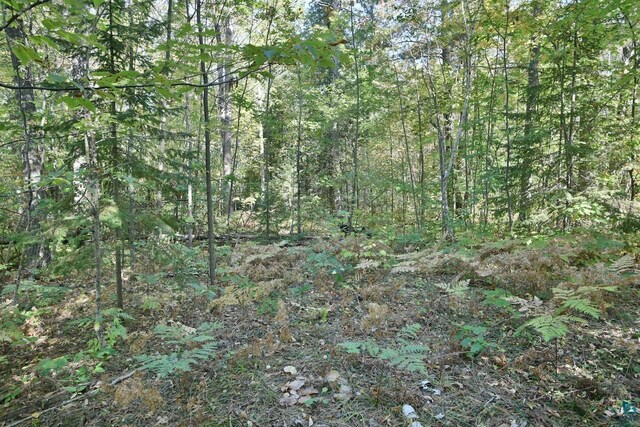 LOT1 County Highway C, Cornucopia, WI 54827