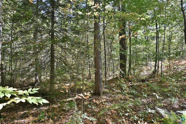 LOT1 County Highway C, Cornucopia, WI 54827