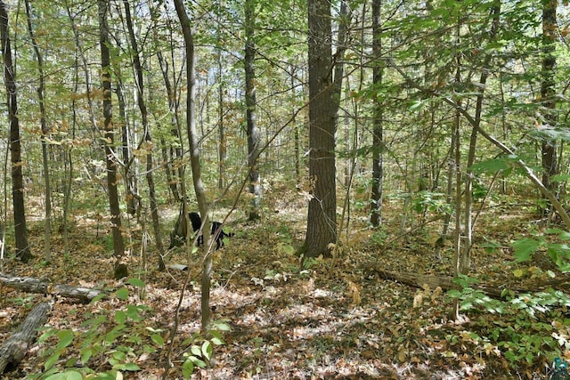 Listing photo 2 for LOT2 County Highway C, Cornucopia WI 54827