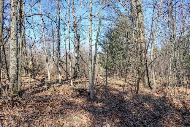 345 Bailey St, Waupaca, WI 54981