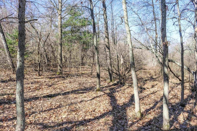 345 Bailey St, Waupaca, WI 54981