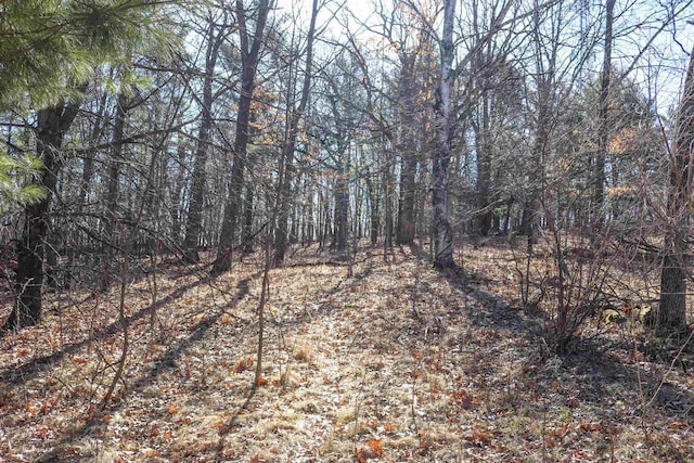 345 Bailey St, Waupaca, WI 54981