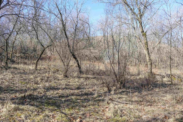 345 Bailey St, Waupaca, WI 54981