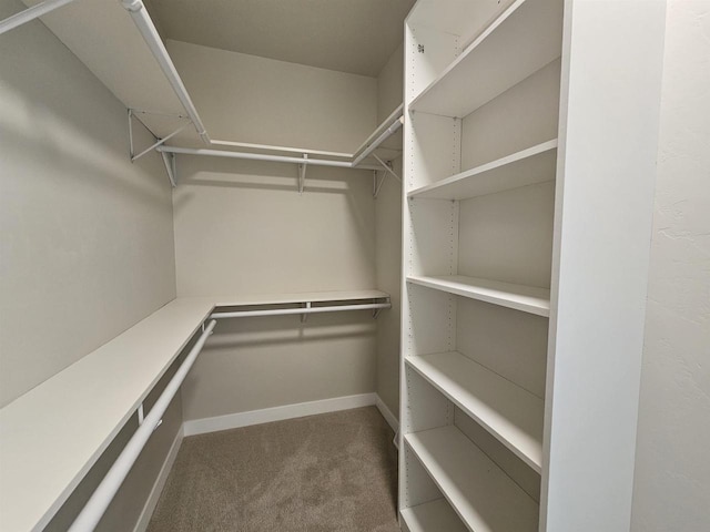 spacious closet with carpet floors