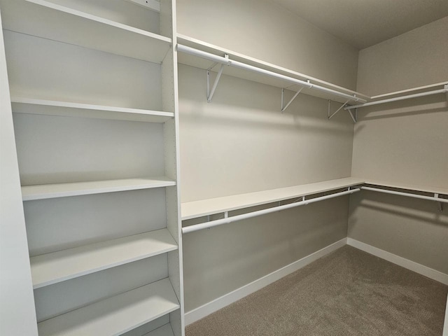 spacious closet with carpet floors