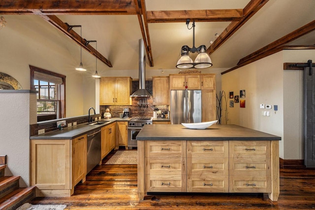 kitchen with kitchen peninsula, dark hardwood / wood-style flooring, stainless steel appliances, and decorative light fixtures