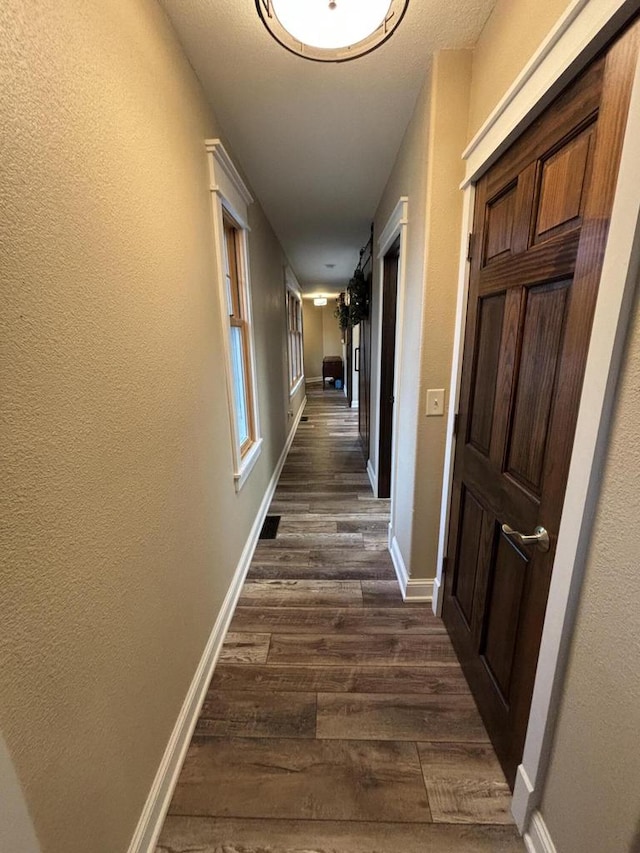 corridor featuring dark wood-type flooring