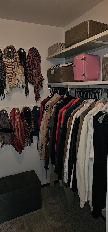 spacious closet featuring carpet flooring