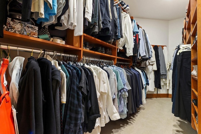 spacious closet with carpet