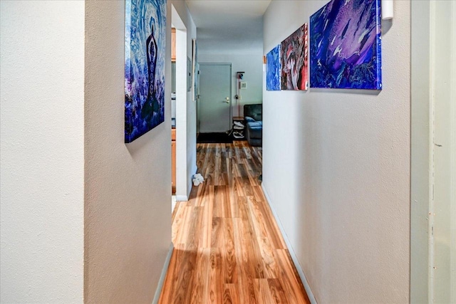 hall featuring wood-type flooring