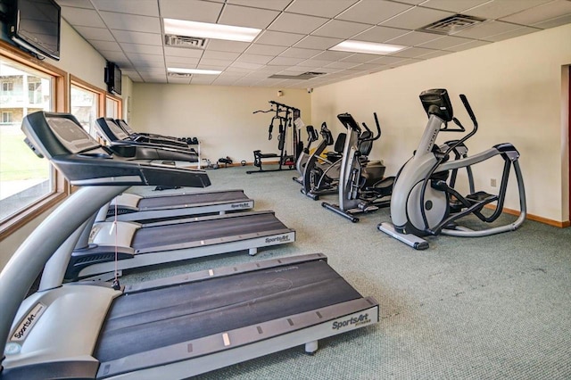 exercise room featuring carpet flooring and a paneled ceiling