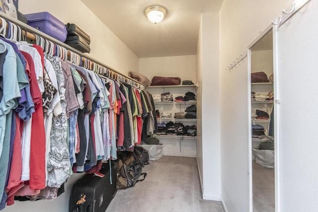 spacious closet featuring carpet floors