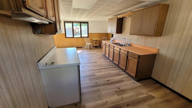 kitchen with light wood-type flooring, wood walls, and sink