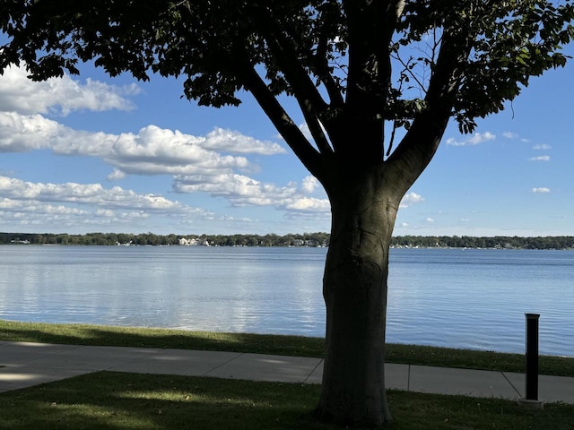 view of water feature