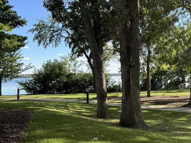 view of property's community featuring a lawn