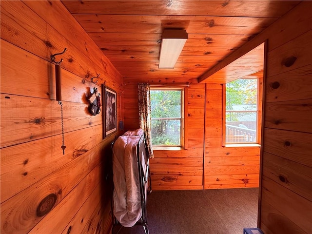 interior space featuring wooden walls and wooden ceiling