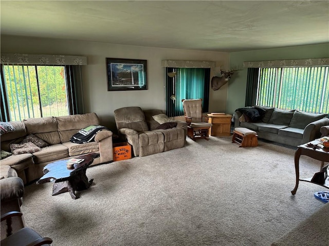 living room with carpet floors