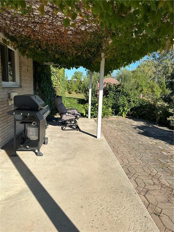 view of patio featuring area for grilling