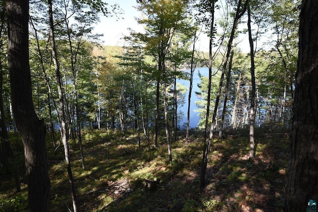 view of landscape with a water view