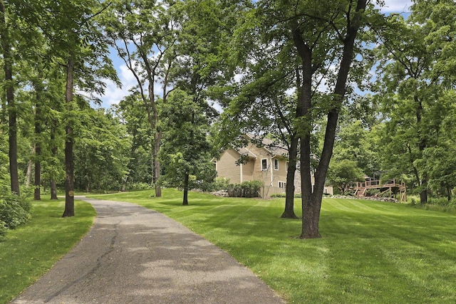 view of community with a yard