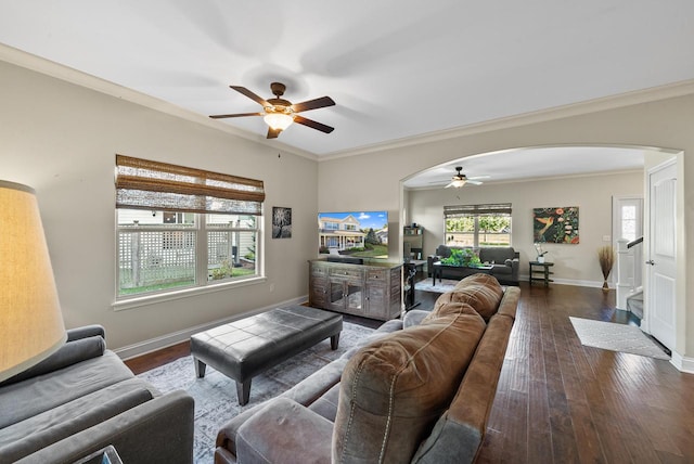 living room with crown molding, dark hardwood / wood-style floors, and ceiling fan